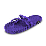 Anesis  Purple